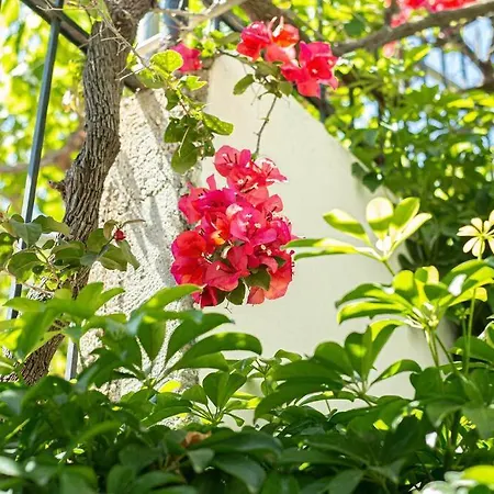 Blue Maraci 2 - Sea View, Kitchen, Access