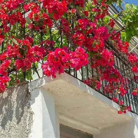 Blue Maraci 2 - Sea View, Kitchen, Access