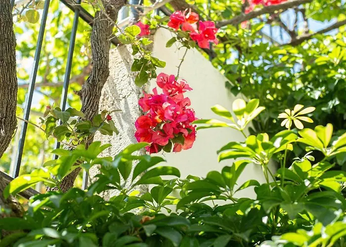 Blue Maraci 2 - Sea View, Kitchen, Access